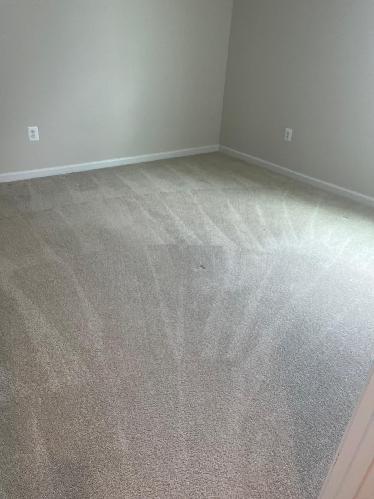 Cleaning Gallery Image 16